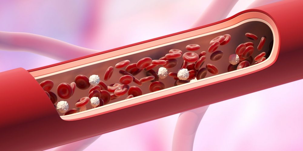 Red and white blood cells in the vein. Leukocyte normal level. 3D illustration